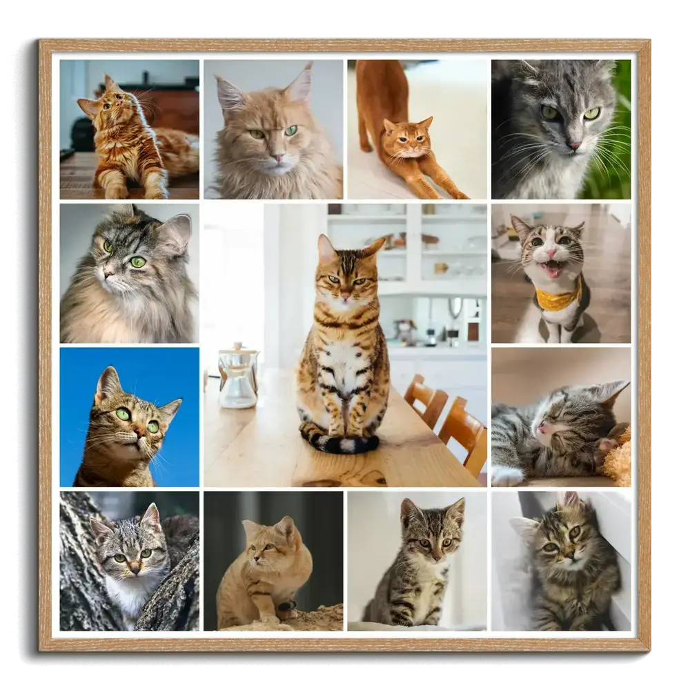 Kattenfotocollage in een naturel houten lijst met grote middenfoto en kleine portretten, cadeau voor kattenliefhebbers