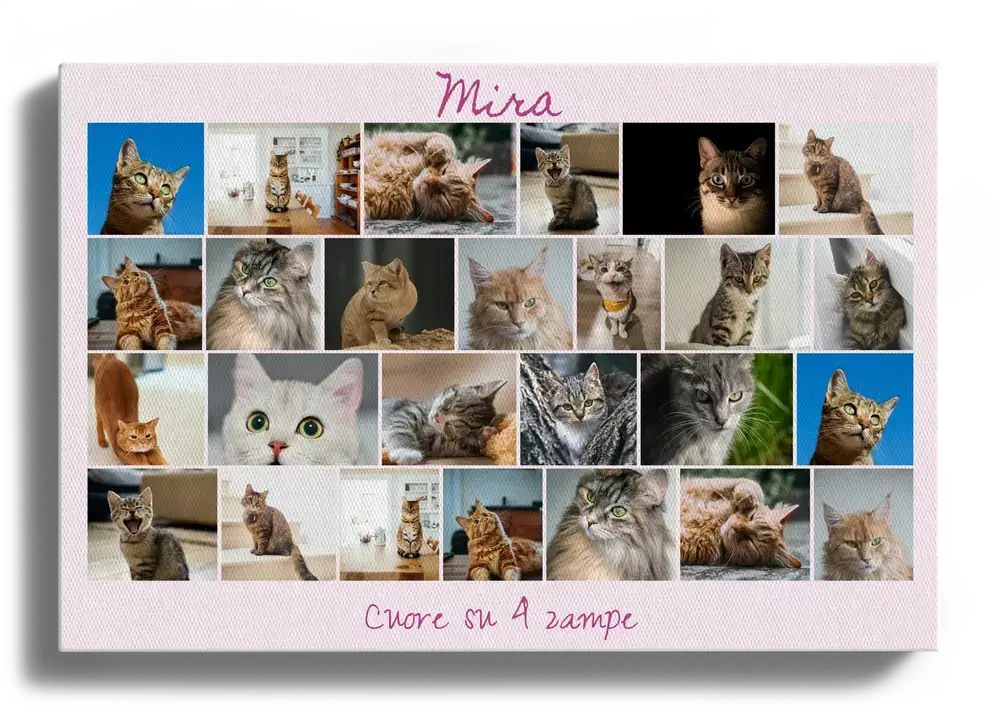 Collage di foto di gatti su tela con nome e dedica su fondo rosa, regalo per chi ama i gatti