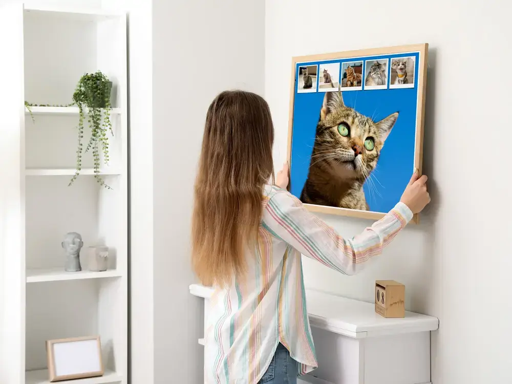 Kattenfotocollage op blauwe achtergrond met een rij kleine foto's, in een houten lijst aan de muur boven een witte kast