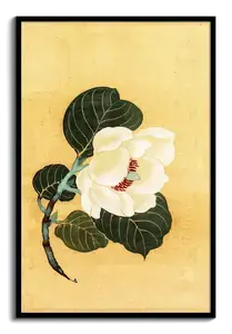 White Camellia Art Print – Vintage Japanese Botanical Wall Art, Order Yours Now