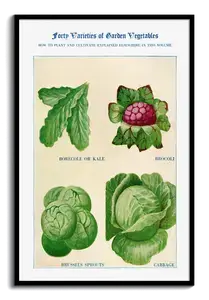 Vegetable Watercolor Art Print - Order Yours: Kale, Broccoli, Brussels Sprouts, Cabbage