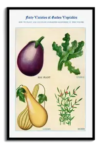 Vintage Gemüse Aquarell Poster - Aubergine, Endivie, Kürbis & Kräuter - bestell dir jetzt
