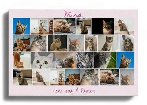 Katzen-Fotocollage jetzt gestalten - z.B. Herz auf 4 Pfoten, mit deinem Text