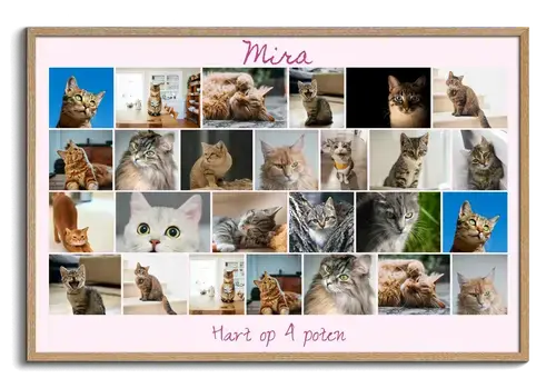 Kattenfoto Collage met Persoonlijke Teksten