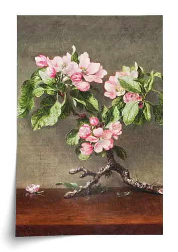 Pink Blossoms Still Life Art Print