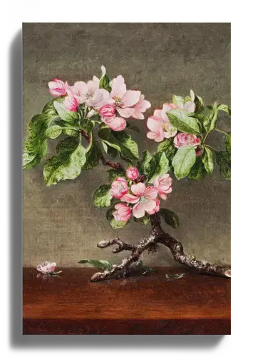 Pink Blossoms Still Life Art Print