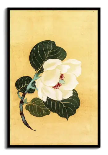 White Camellia Art Print on Beige Background