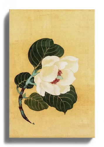 White Camellia Art Print on Beige Background
