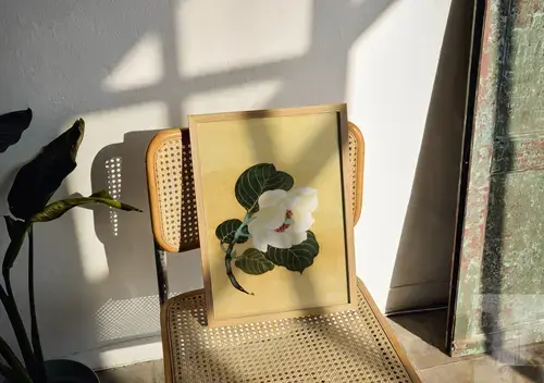 White Camellia Art Print on Beige Background