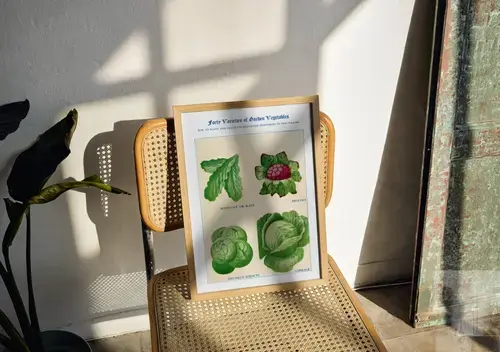 Boerenkool, broccoli, spruitjes en kool aquarel