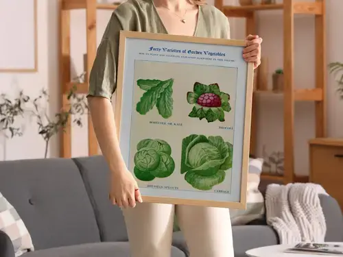 Boerenkool, broccoli, spruitjes en kool aquarel