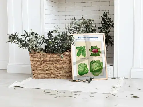 Boerenkool, broccoli, spruitjes en kool aquarel
