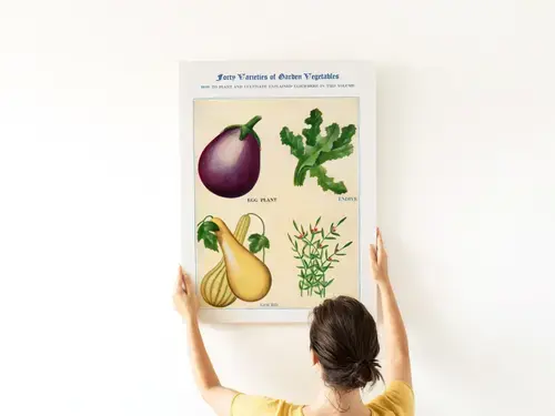 Aubergine, andijvie, kalebas & kruiden - aquarel